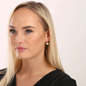 Pozlátené strieborné náušnice okrúhle 61021