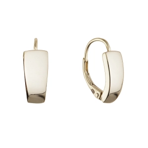 Pozlátené strieborné náušnice 61072