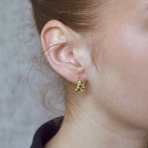 Pozlátené strieborné náušnice kruhy CROISSANT 61080