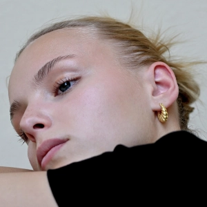 Pozlátené strieborné náušnice tvarované kruhy 61107