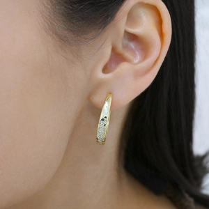 Pozlátené náušnice kruhy so zirkónmi 11774.1